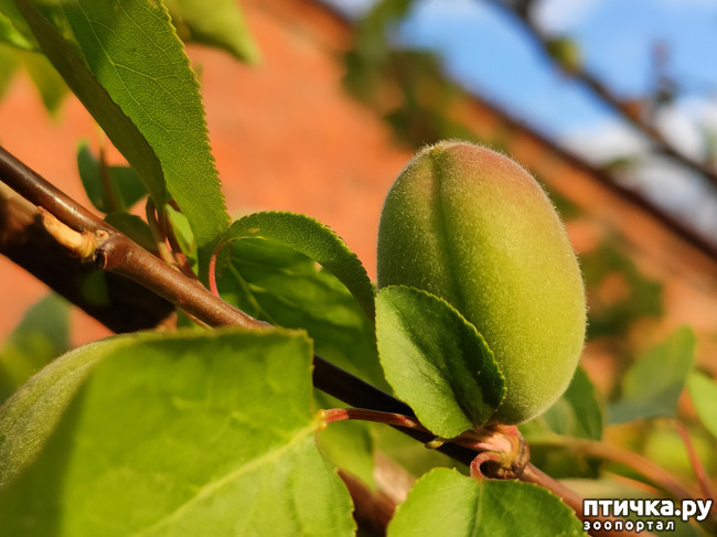 ���� 6: ������� ������� �����