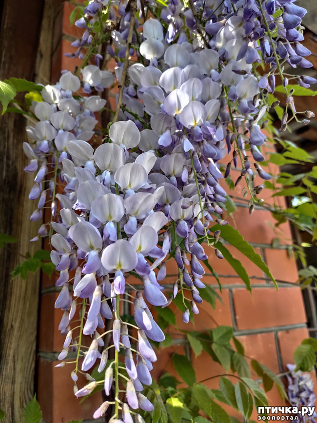 ���� 7: ������� ������� �����