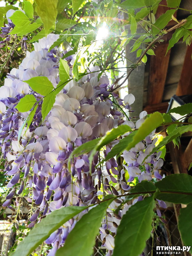 ���� 8: ������� ������� �����