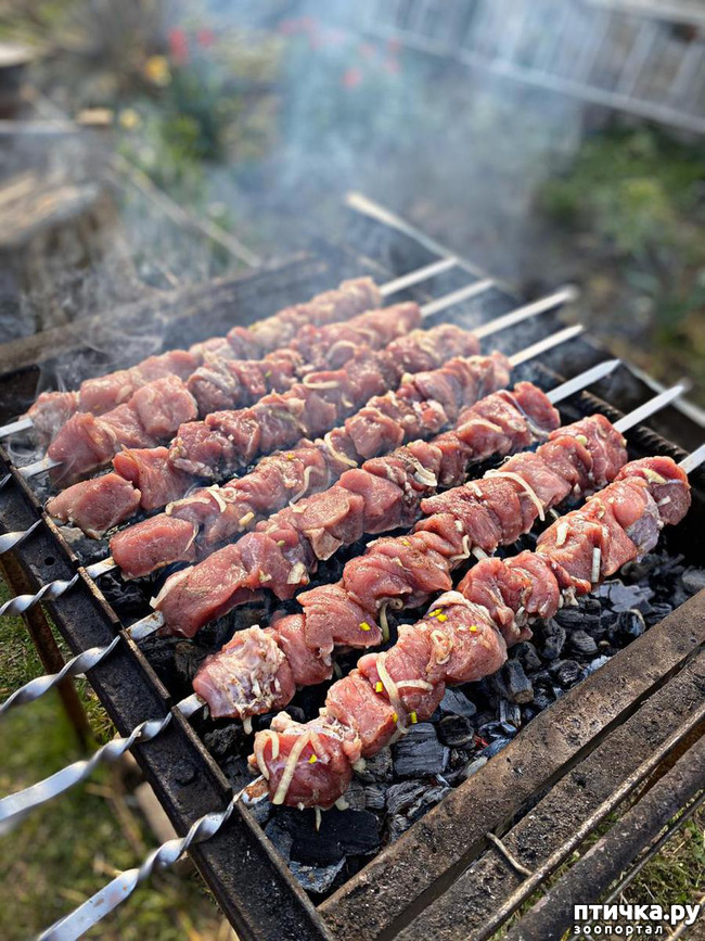 ���� 10: ������� ������� �����