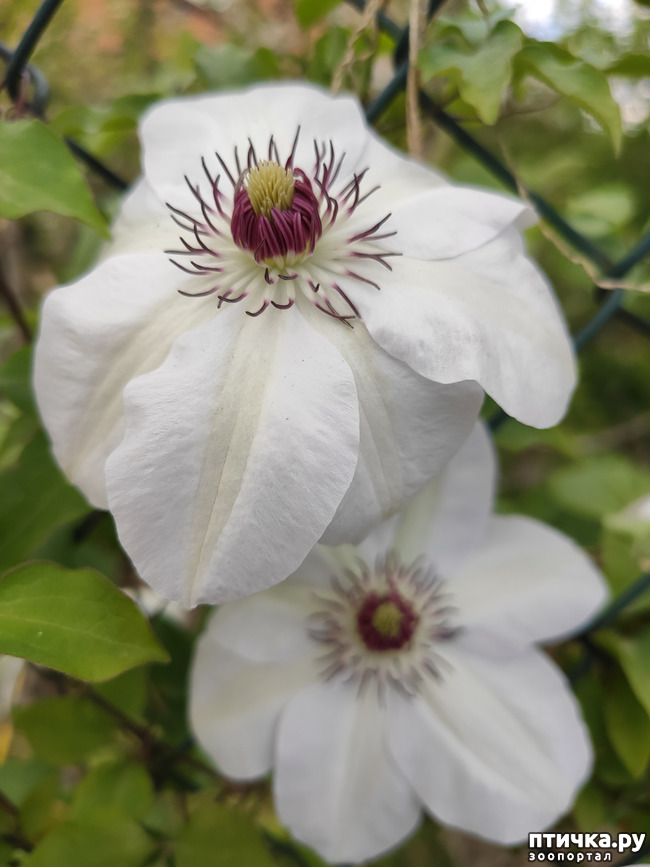 ���� 9: ������� ������� �����