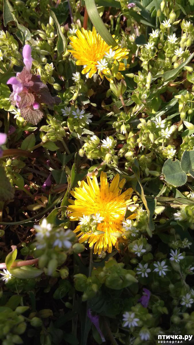 ���� 12: ������� ������� �����