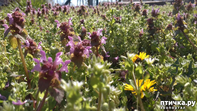 ���� 11: ������� ������� �����