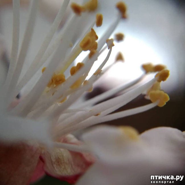 ���� 13: ������� ������� �����