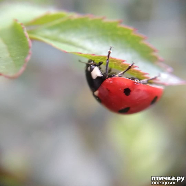 ���� 14: ������� ������� �����