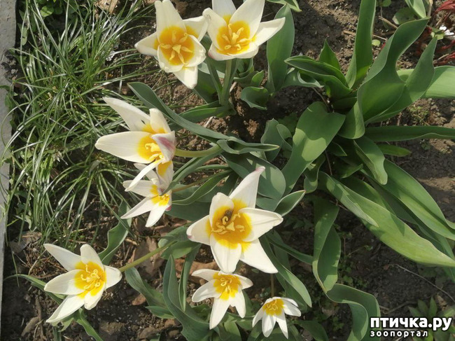 ���� 4: ����� ��� ����������;)