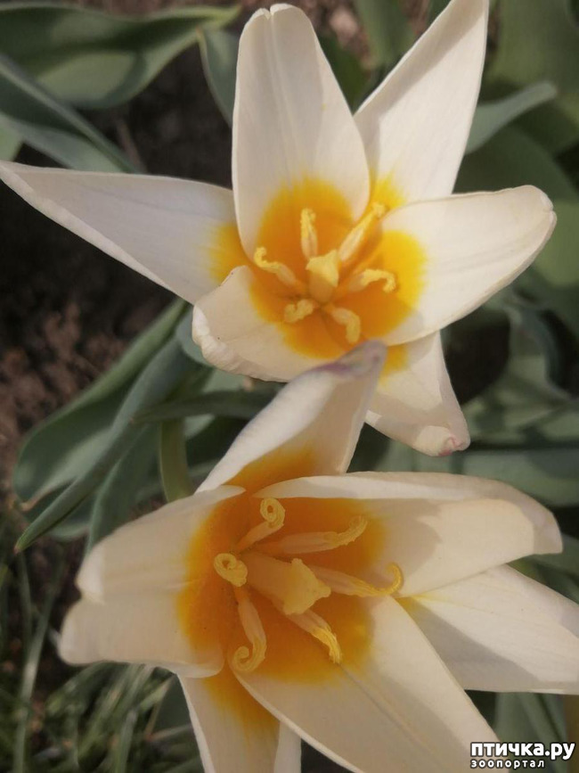 ���� 5: ����� ��� ����������;)