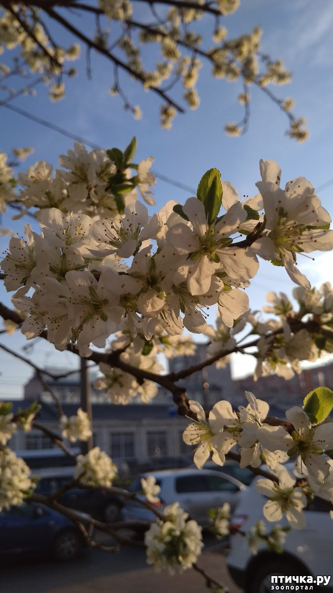 ���� 15: ������� ������� �����