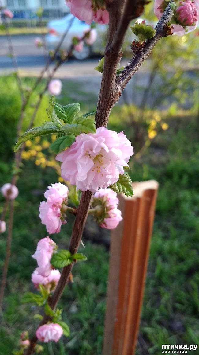 ���� 16: ������� ������� �����