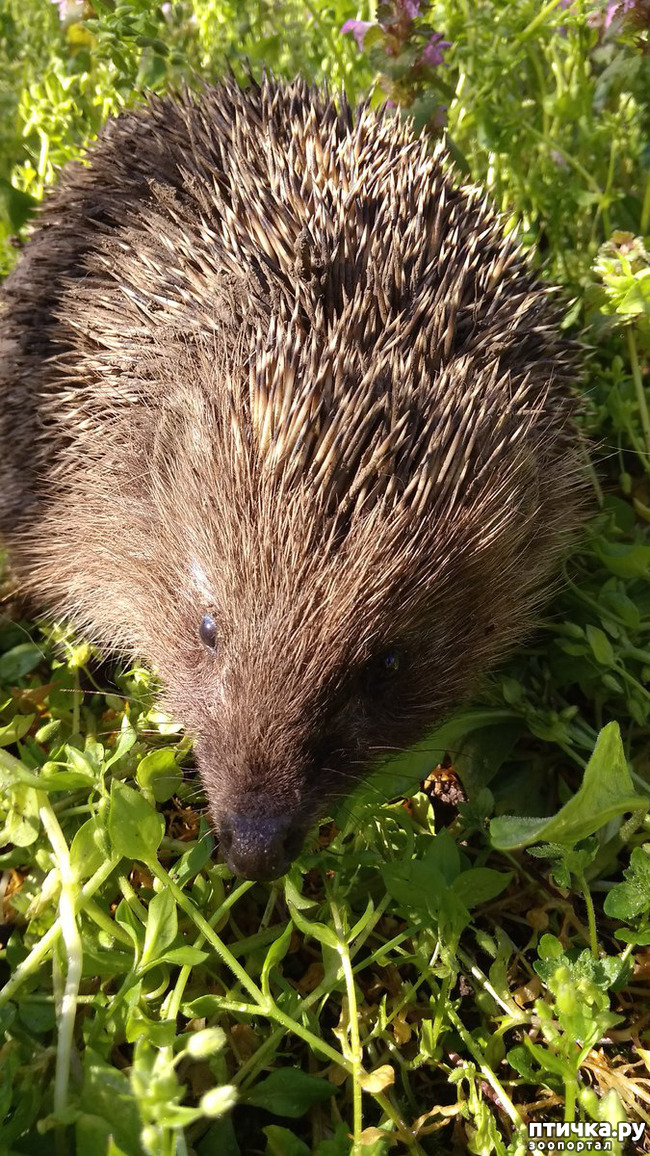 ���� 17: ������� ������� �����