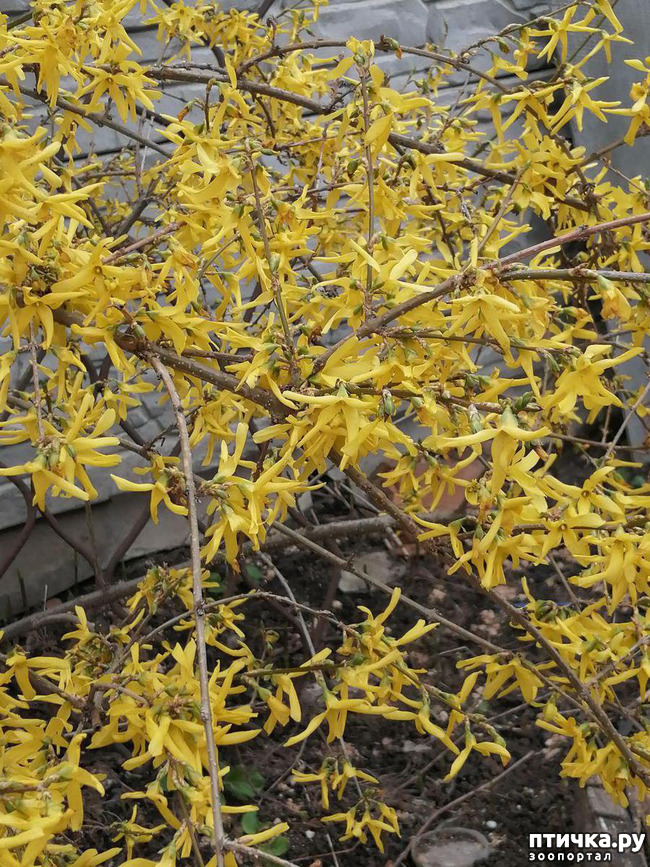 ���� 7: ����� ��� ����������;)