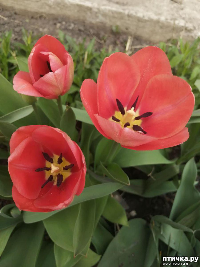 ���� 9: ����� ��� ����������;)