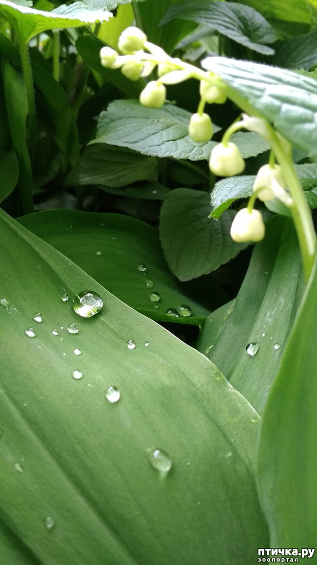 ���� 18: ������� ������� �����