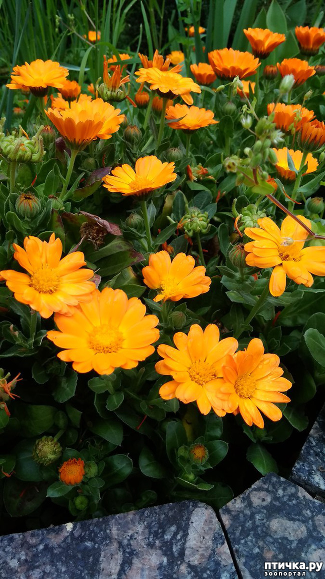 ���� 19: ������� ������� �����