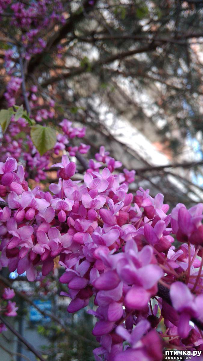 ���� 20: ������� ������� �����