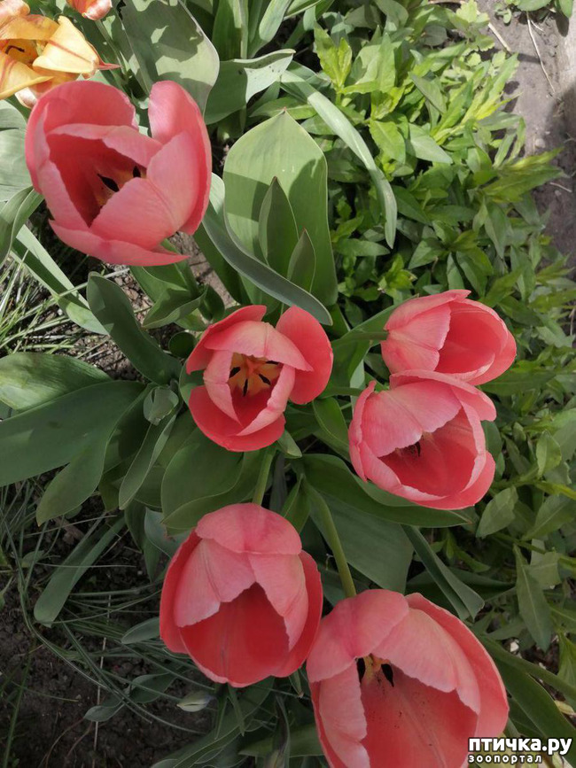 ���� 11: ����� ��� ����������;)