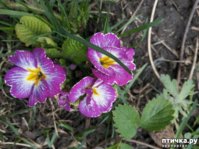 ���� 12: ����� ��� ����������;)