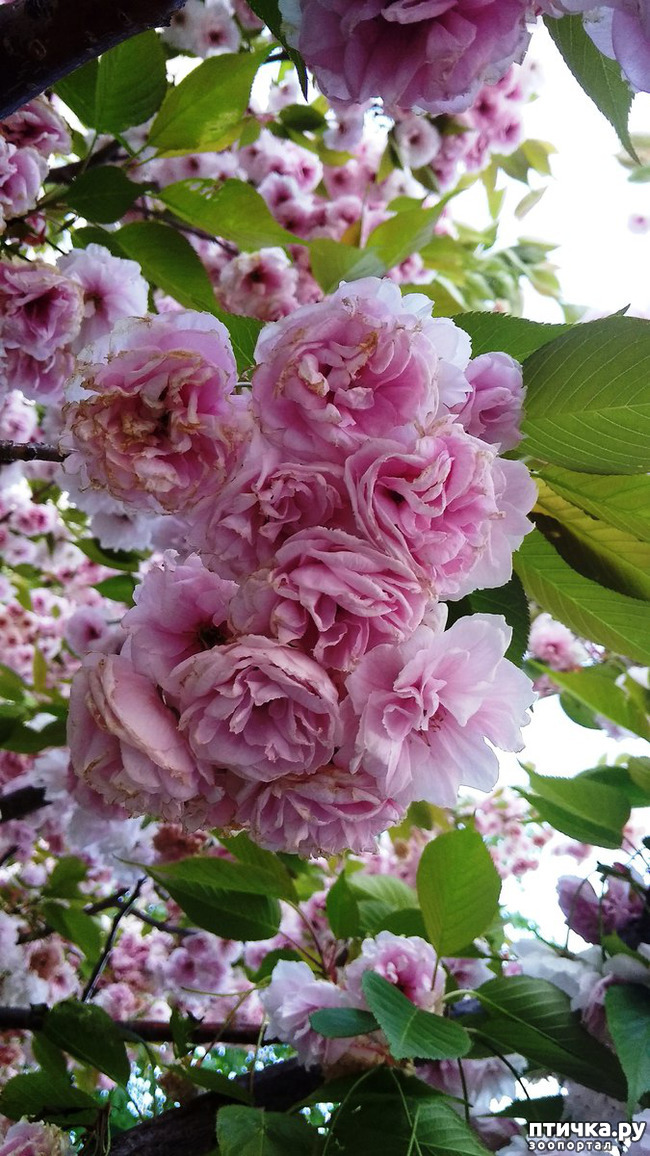 ���� 21: ������� ������� �����