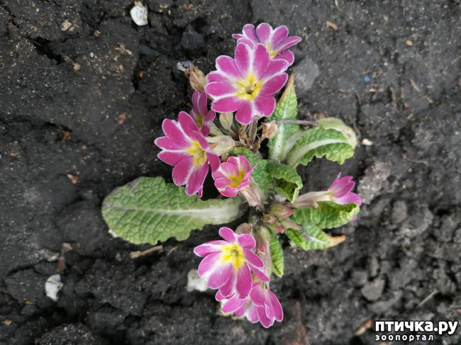 ���� 13: ����� ��� ����������;)