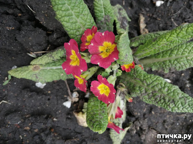 ���� 14: ����� ��� ����������;)