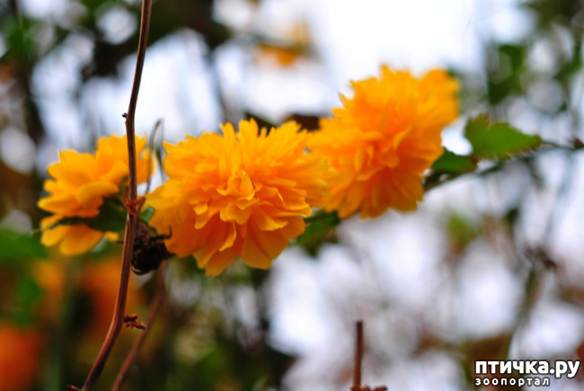 ���� 22: ������� ������� �����