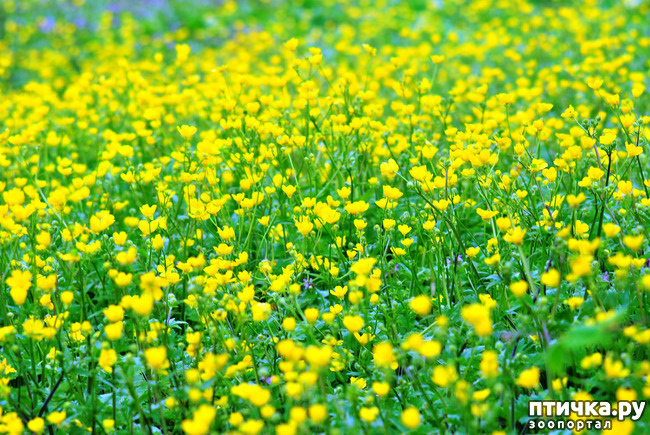 ���� 23: ������� ������� �����