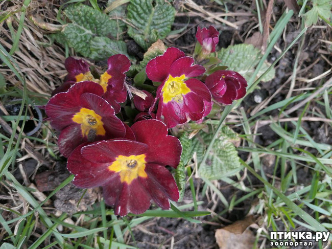 ���� 15: ����� ��� ����������;)