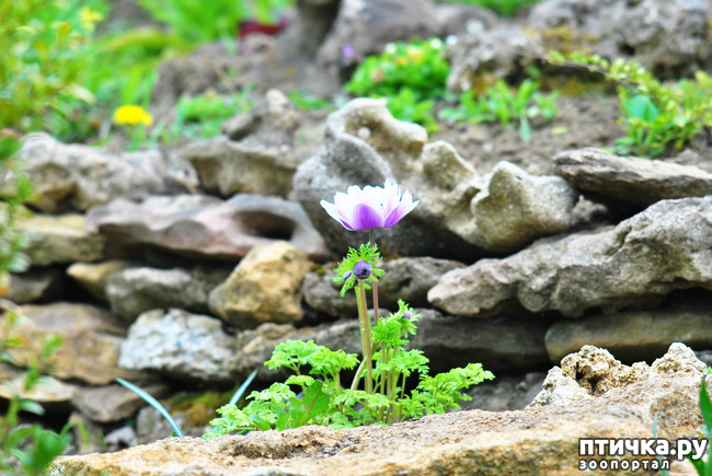 ���� 25: ������� ������� �����