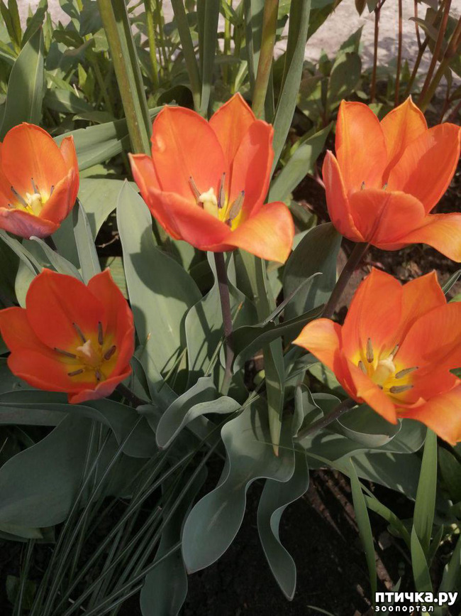 ���� 17: ����� ��� ����������;)