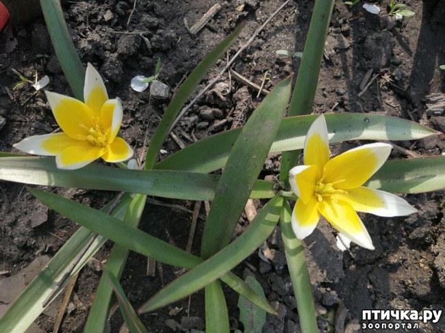 ���� 20: ����� ��� ����������;)