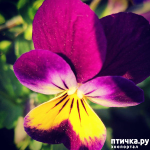 ����: ������� ������� �����