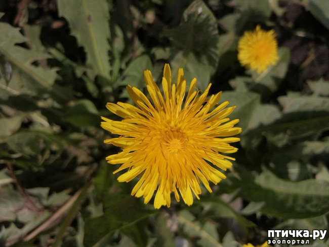 ���� 24: ����� ��� ����������;)