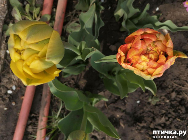 ���� 25: ����� ��� ����������;)