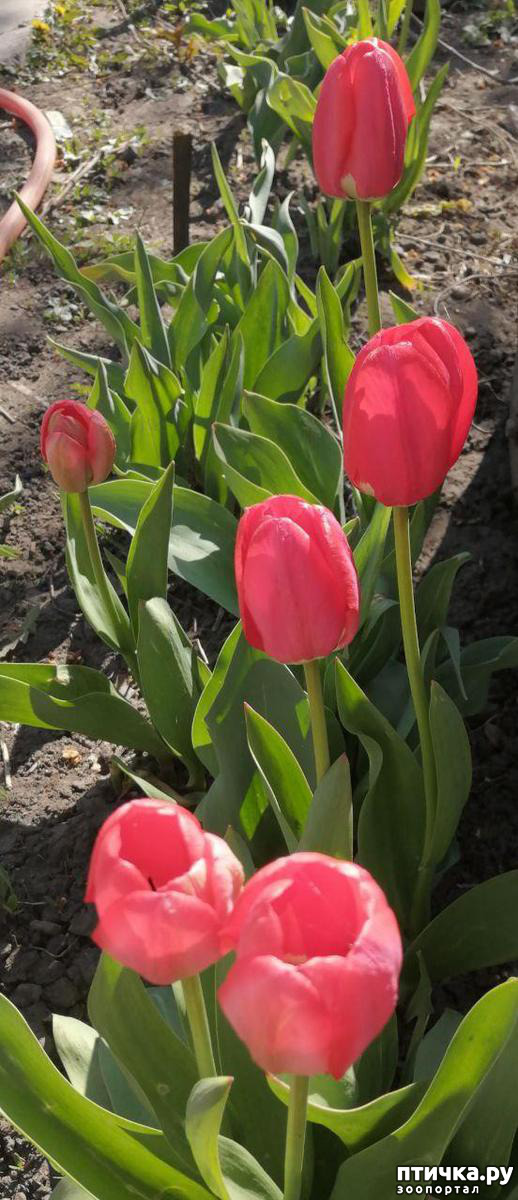 ���� 27: ����� ��� ����������;)