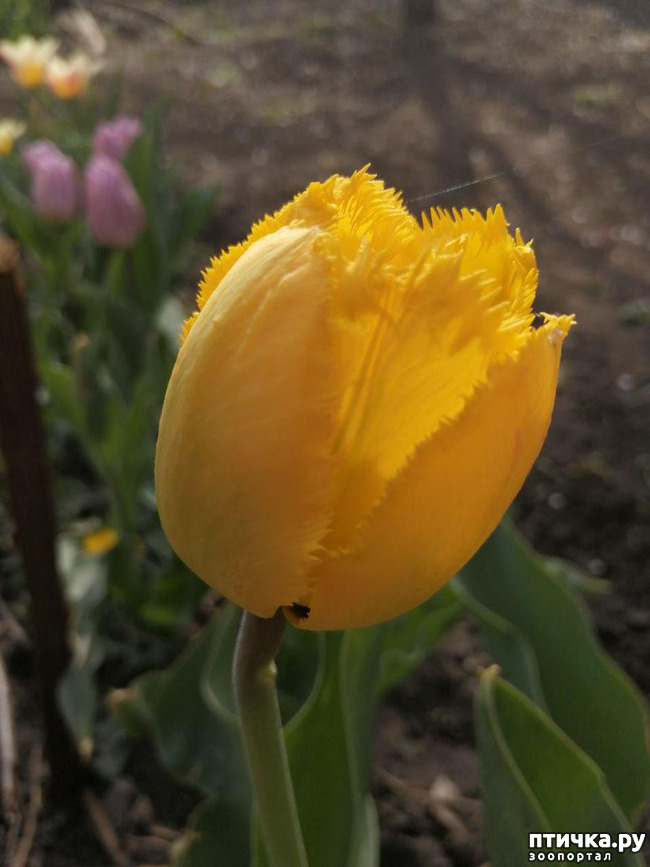 ���� 28: ����� ��� ����������;)