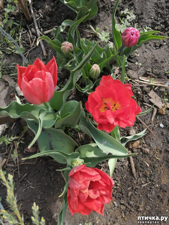 ���� 33: ����� ��� ����������;)