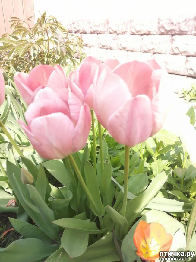 ���� 34: ����� ��� ����������;)