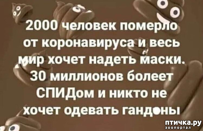 ���� 4: � ������ ��� ��������