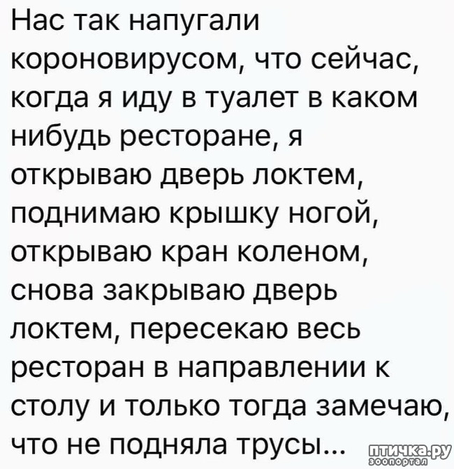 ���� 5: � ������ ��� ��������