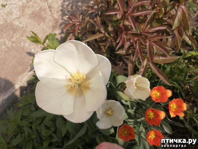 ���� 35: ����� ��� ����������;)