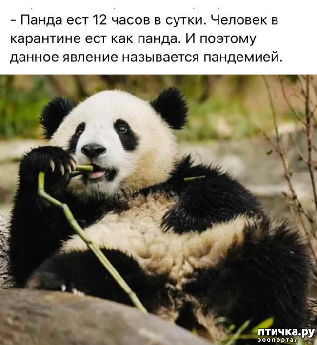 ���� 6: � ������ ��� ��������