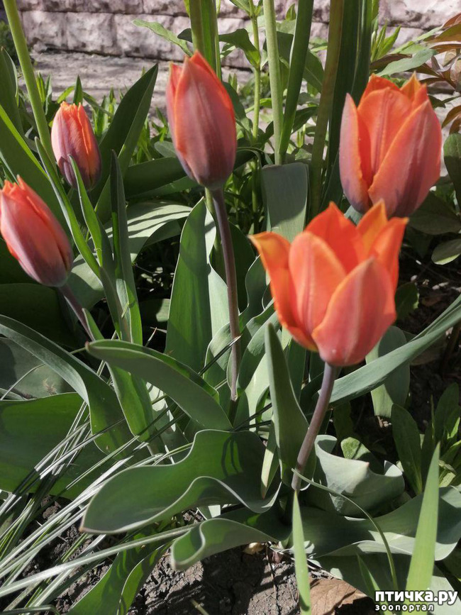 ���� 38: ����� ��� ����������;)