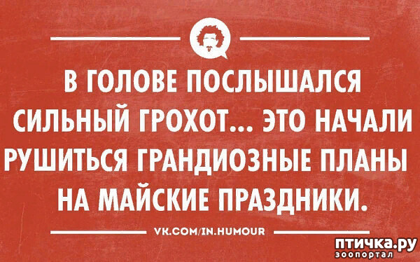 ���� 8: � ������ ��� ��������