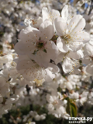 ����: ����� ��� ����������;)