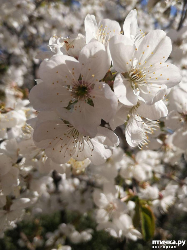 ���� 1: ����� ��� ����������;)