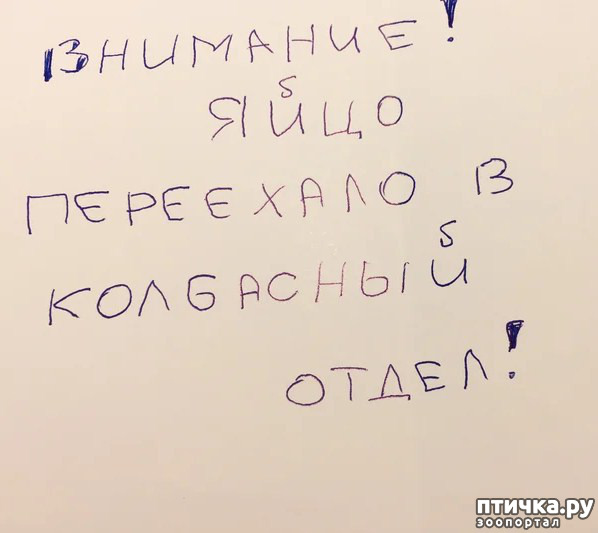 ���� 2: ������� ���������� ( �� ���������)