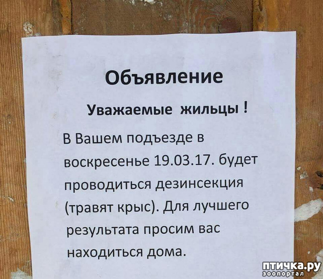 ���� 5: ������� ���������� ( �� ���������)