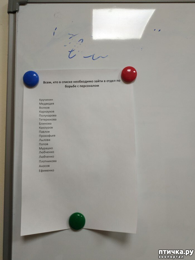 ���� 6: ������� ���������� ( �� ���������)