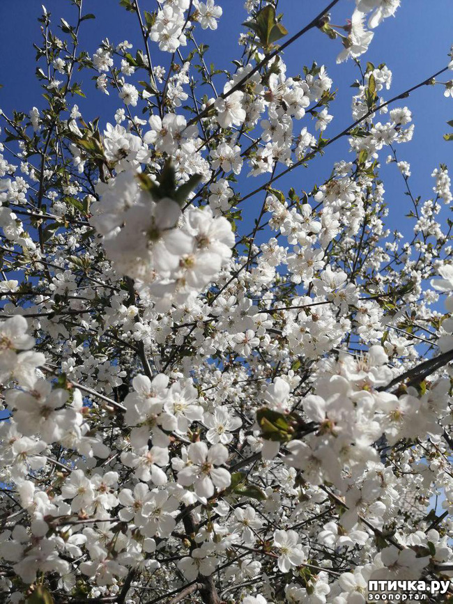 ���� 2: ����� ��� ����������;)