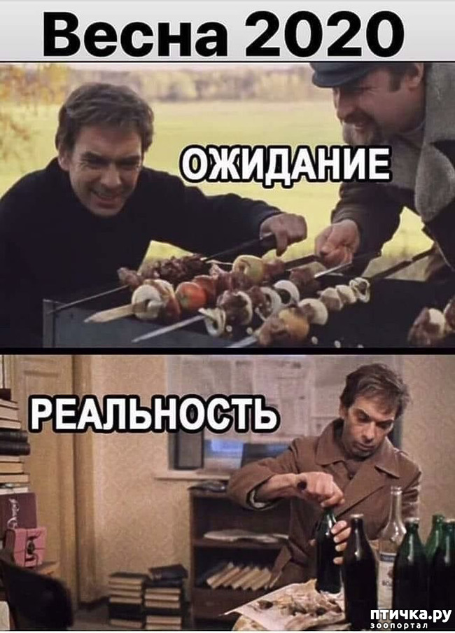 ���� 11: � ������ ��� ��������